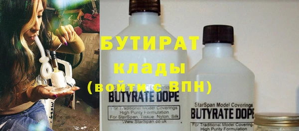 сатива Вяземский