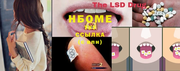 сатива Вяземский