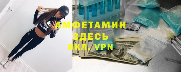 сатива Вяземский