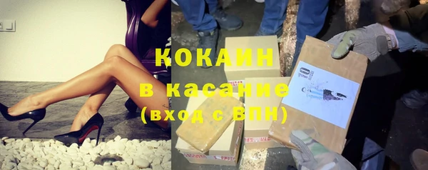 сатива Вяземский