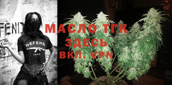 сатива Вяземский