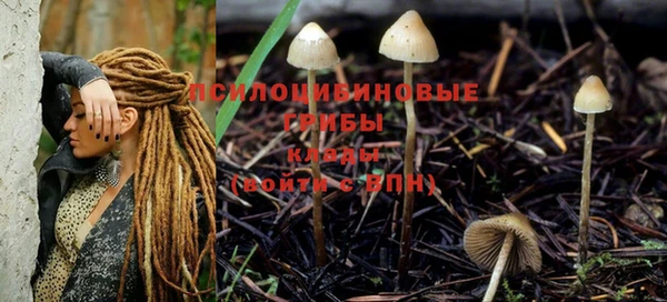 сатива Вяземский