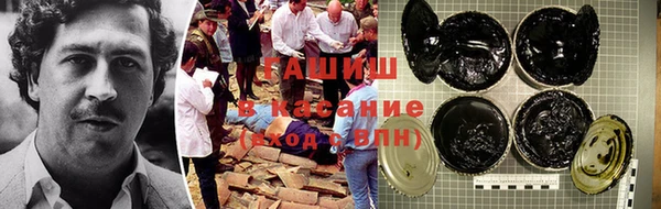 сатива Вяземский