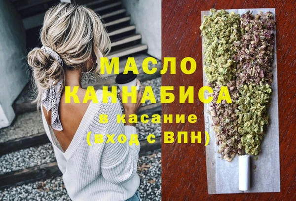 сатива Вяземский